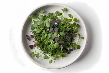 Microgreens sprouts isolated on white background. Vegan micro sunflower greens shoots. Growing sprouted sunflower seeds, microgreens closeup. Ai generative.