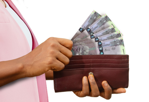 fair Female Hand Holding brown Purse With Botswanan Pula notes, hand removing money out of purse isolated on white background