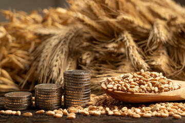 Money on the background of spikelets of wheat. Export of grain and agriculture. Rising prices for...