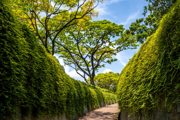 Fototapeta na wymiar Pathways at Fort Canning Park in Singapore