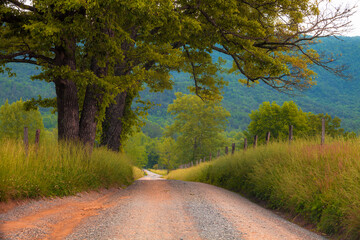 Country road in Cades Cove