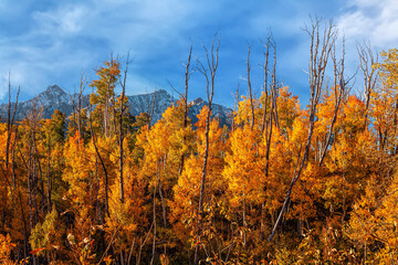 Autumn in Colorado's San Juan Mountains