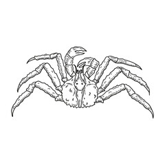 Hand-drawn vector sketch of crab seafood