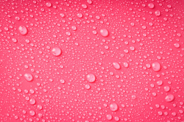 Pink background with water drops, close up
