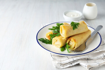Concept of tasty food, thin pancakes with filling, space for text