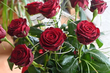 red  roses in a vase