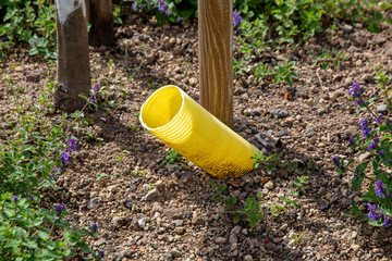 Fototapeta premium Effektive Baumbewässerung mit Drainagerohr