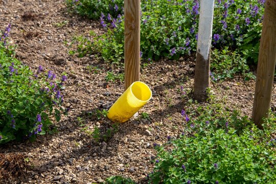 Effektive Baumbew&auml;sserung mit Drainagerohr