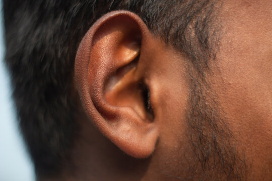 Black hair and beard around one ear and background blurred