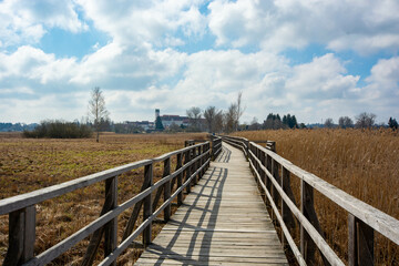 Obraz premium Boardwalk around the Federsee, unesco world heritage, Bad Buchau