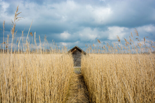 Boathouse at Federsee, unesco world heritage, Bad Buchau