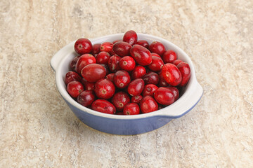 Ripe sweet tasty cranberry in the bowl