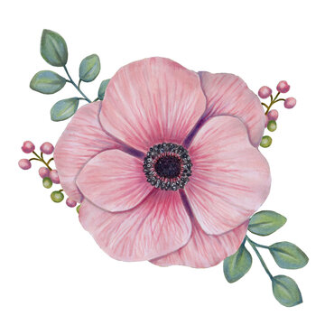recommend clip art: Pink anemone flower.Blue green twigs, berries.Watercolor and marker illustration.Isolated on white background.