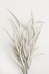 Dried white leaves bouquet on white background. Minimal floral holiday composition