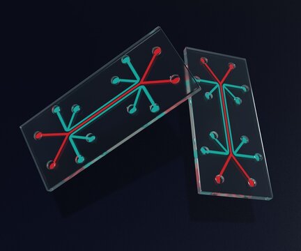 Isolated microfluidic chip is a set of micro-channels etched or molded into a glass material 3d rendered
