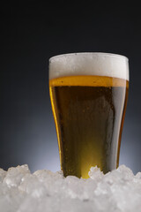 グラスに注がれたビール　beer