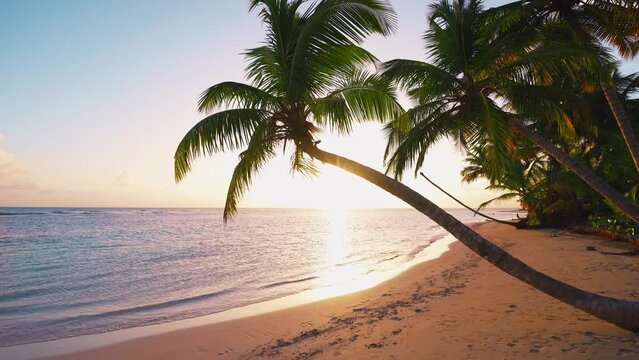 Summer evening on a pristine clean tropical island of Hawaii with a palm beach. Blue sea and sunset sky. Picturesque summer landscape. Bright nature of the sea coast. Summer vacation.