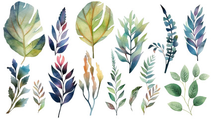 Set of watercolor colorful leaves elements. Collection watercolor colorful leaves clipart isolated on transparent background.