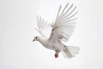 Experience the wonder of flight with this graceful white bird, wings spread wide and soaring through the clouds. AI Generative.