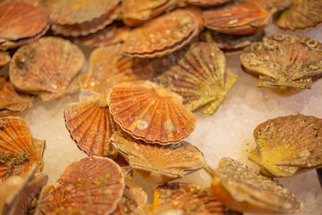 seafood on the market