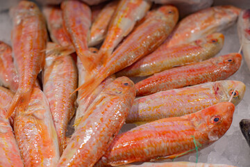fresh fish on the market