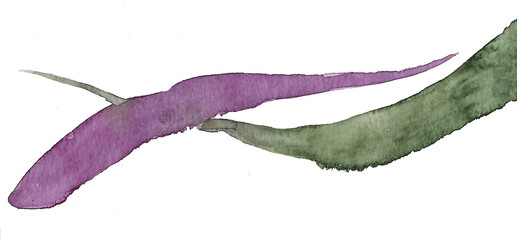 Wave-shaped brush strokes of purple and green intersect. Lilac bush concept. Hand drawn watercolor illustration for your design