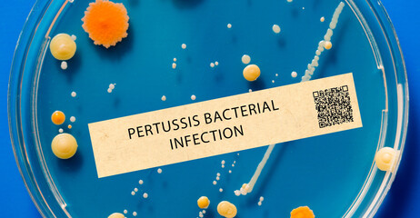 Pertussis (whooping cough) - Bacterial infection that causes severe coughing fits.