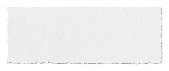 Clean white paper texture. Banner background