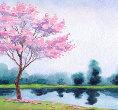 Watercolor landscape. Flowering tree by the lake © Marina