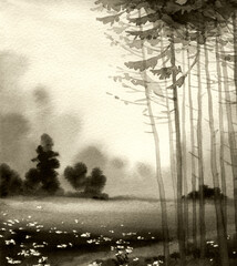 Watercolor landscape. A quiet summer evening in a pine forest
