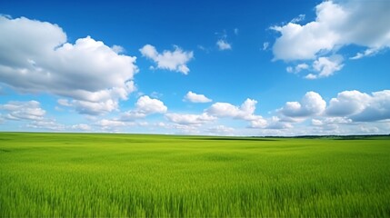 Fototapeta na wymiar 青空と広い草原のイメージ　generative ai