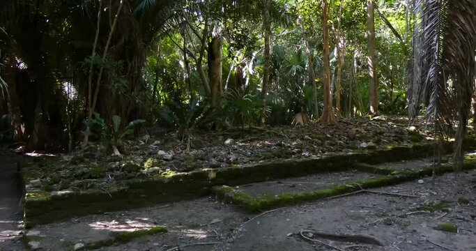 Mayan archeological site at Chacchoben, Quintana Roo, Mexico