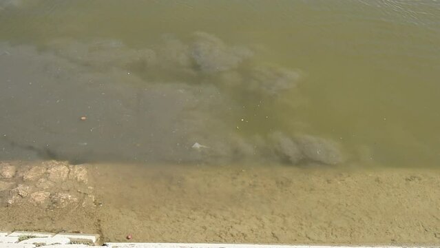 Danube river water pollution in Novi Sad. Direct sewage outfall into river