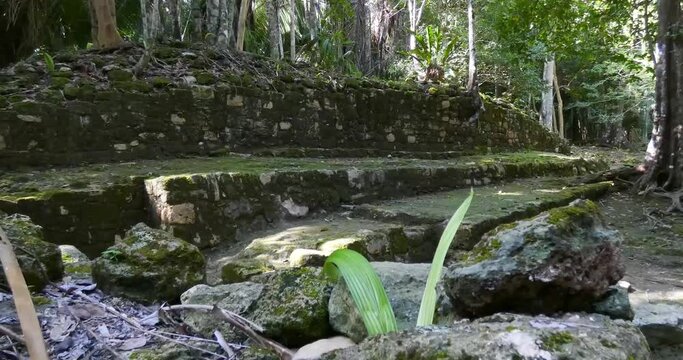 Detail of the Mayan ruins at Chacchoben, Mayan archeological site, Quintana Roo, Mexico.