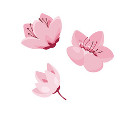 Concept Cherry blossom flowers. This vector illustration of a cherry blossom flower is composed of a limited color palette, creating a cohesive and harmonious visual impression. Vector illustration.