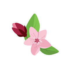 Concept Cherry blossom flowers. The concept behind this cherry blossom flower illustration is one of natural beauty and the transience of life. Vector illustration.