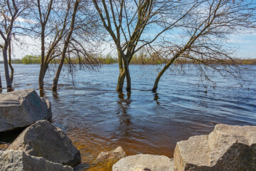 Scenic river bank with trees and large rocks during spring flood on a sunny day