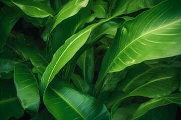 Naklejka na ściany i meble Abstract green leaf texture nature background green tropic. made with Generative AI