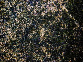 black and white background in the rock