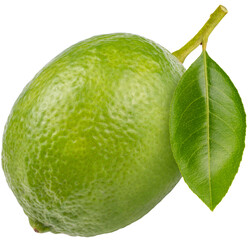 Citrus Lime with green leaf  on white background, Fresh lime on white PNG File.