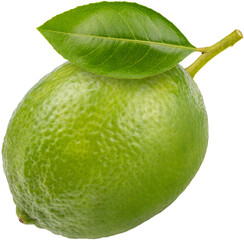 Citrus Lime with green leaf  on white background, Fresh lime on white PNG File.