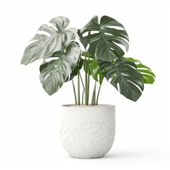 Create a serene atmosphere with a beautiful green monstera plant in a white flowerpot, isolated on a white background. AI Generative.
