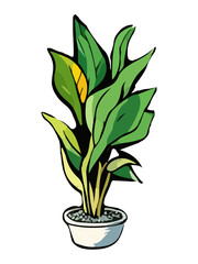 Plant in pot vector illustration. Cartoon flat different indoor potted decorative houseplant for interior home or office decoration, green garden floral icon isolated on white.