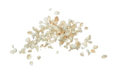Seashell fall splashing in air. sea shell explosion flying, abstract cloud fly. Many Small white Seashell scatter in many group. White background isolated high speed shutter freeze motion