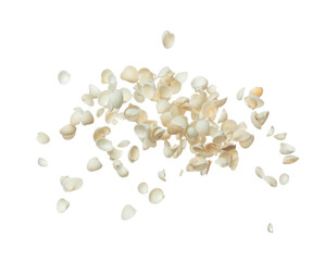 Seashell fall splashing in air. sea shell explosion flying, abstract cloud fly. Many Small white Seashell scatter in many group. White background isolated high speed shutter freeze motion