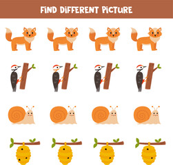 Find different woodland animal in each row. Logical game for preschool kids.