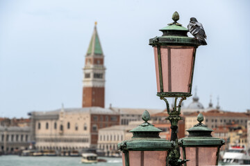 Strassenlaterne in Venedig mit Taube und Campanile di San Marco im Hintergrund