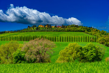 Naklejka premium Das Orciatal in der Toskana im Frühling