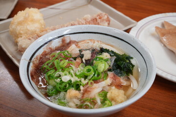 Japanese Food, Sanuki Udon with Tempura in Kagawa, Japan - 日本 香川 さぬきうどん	