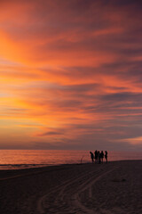 Fototapeta na wymiar un groupe à contre-jour au coucher du soleil au bord de la mer